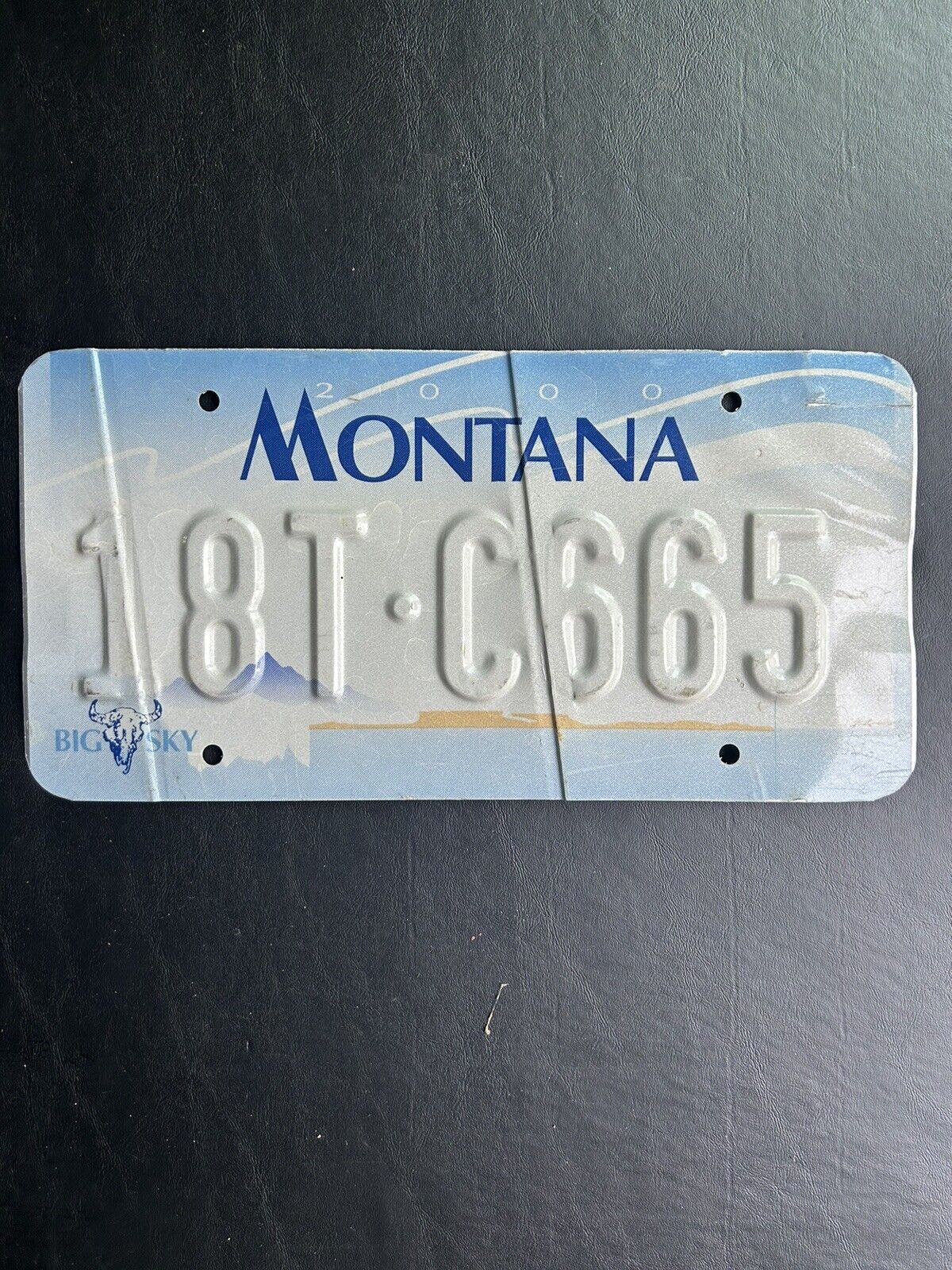2000 - 2003 Montana License Plate Error / Reject 18T • C665
