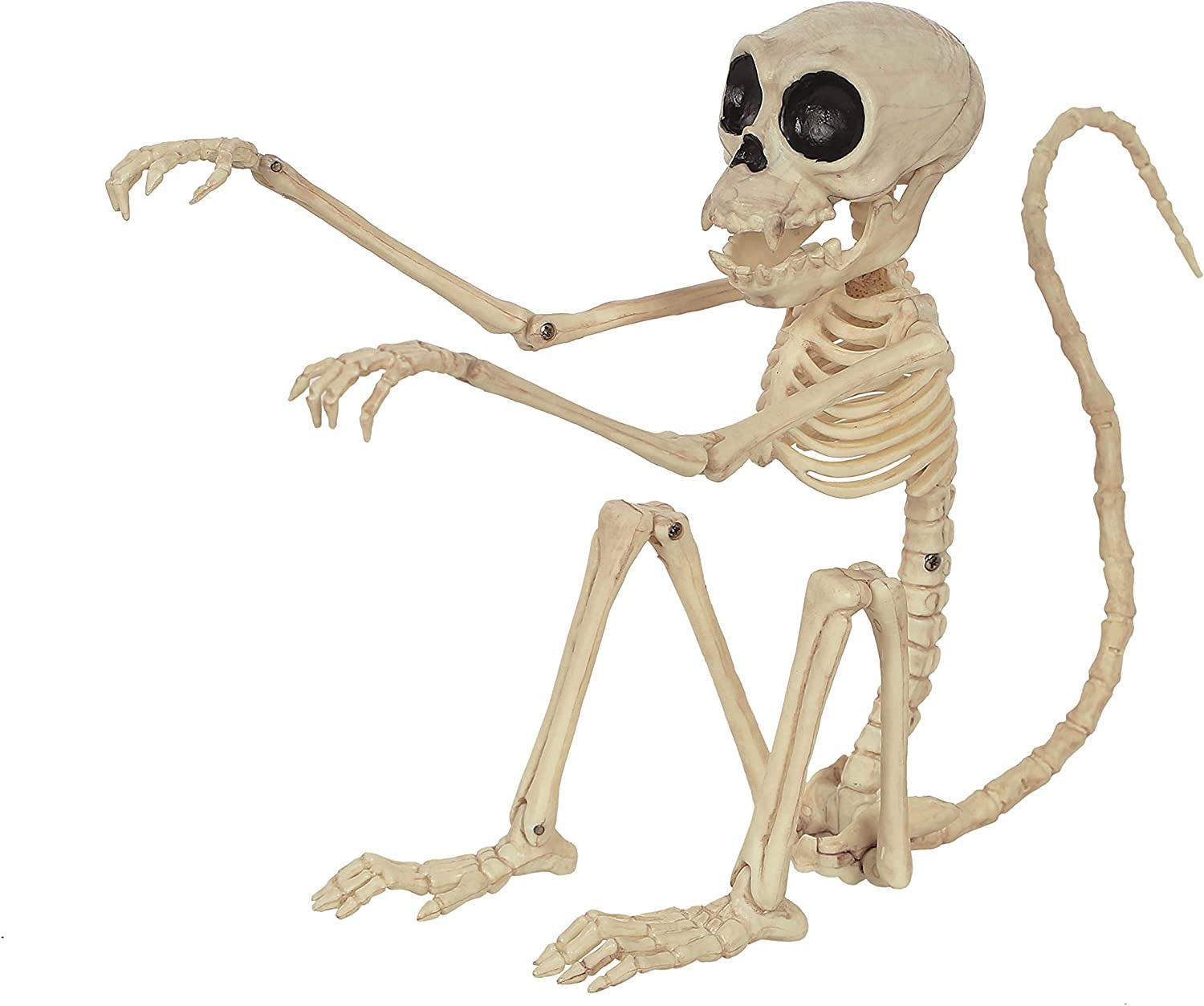 Small Skeleton Monkey