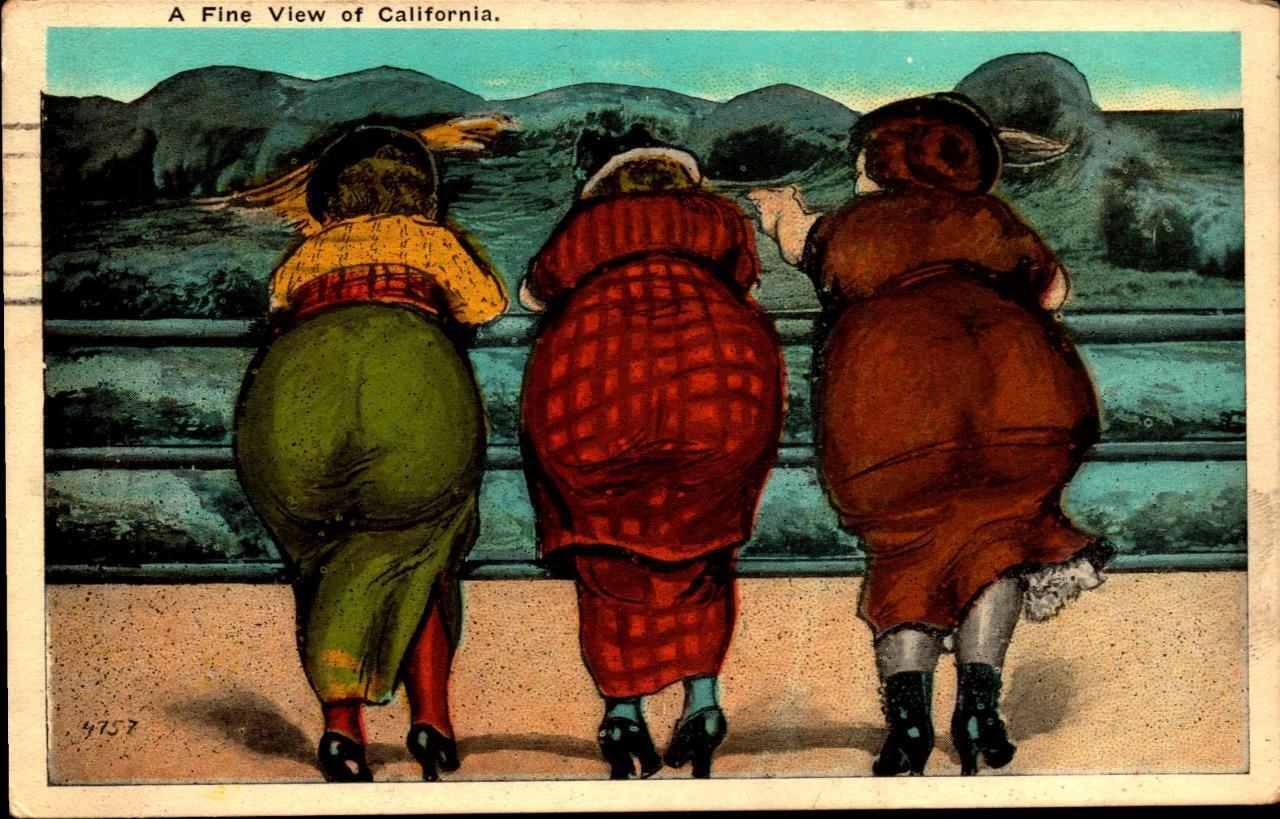 A FINE VIEW OF CALIFORNIA- COMIC M. KASHOWER 1905 POSTCARD BKC