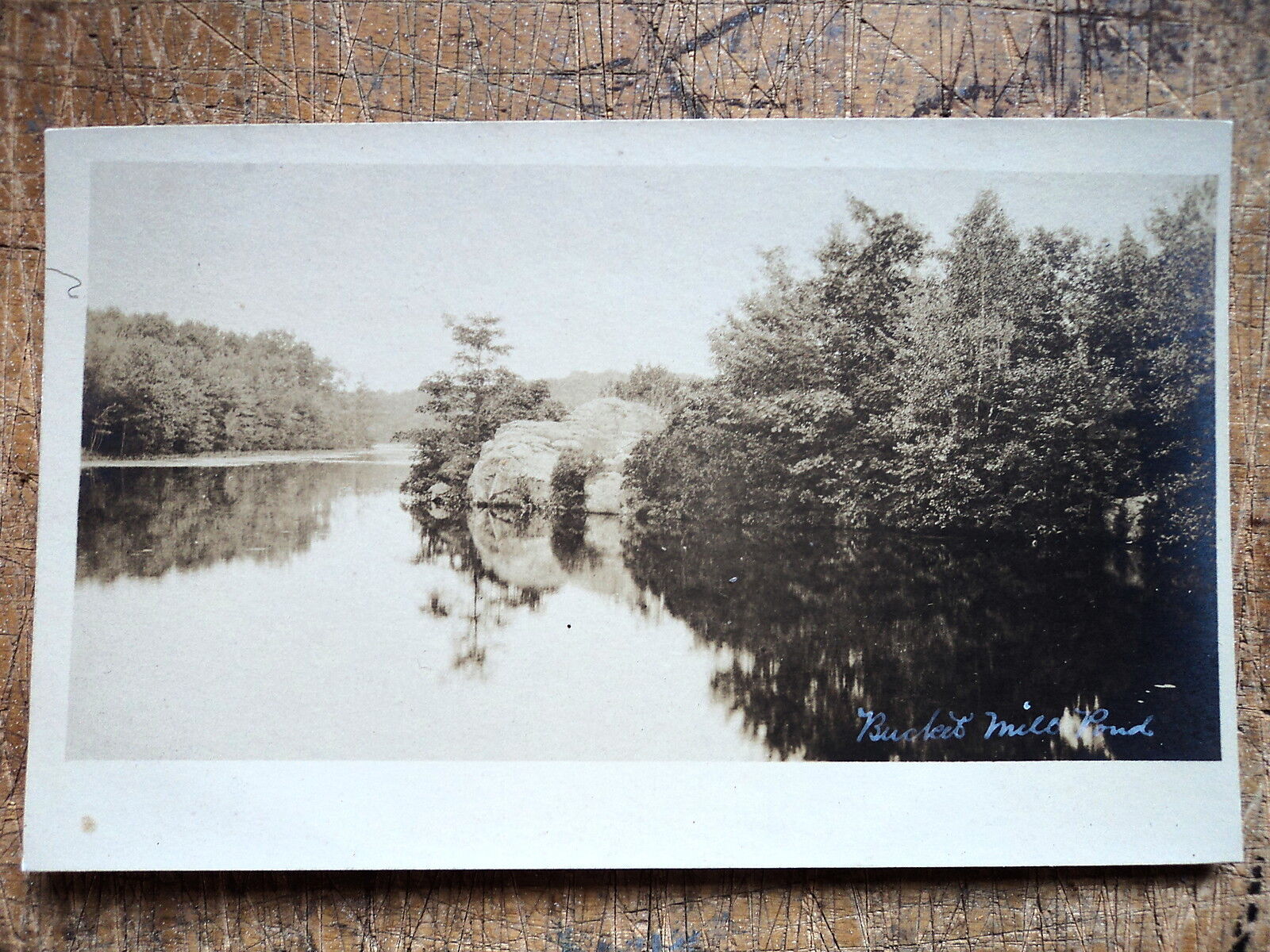 RPPC Bucket Mill Pond Scituate Ma 1905s