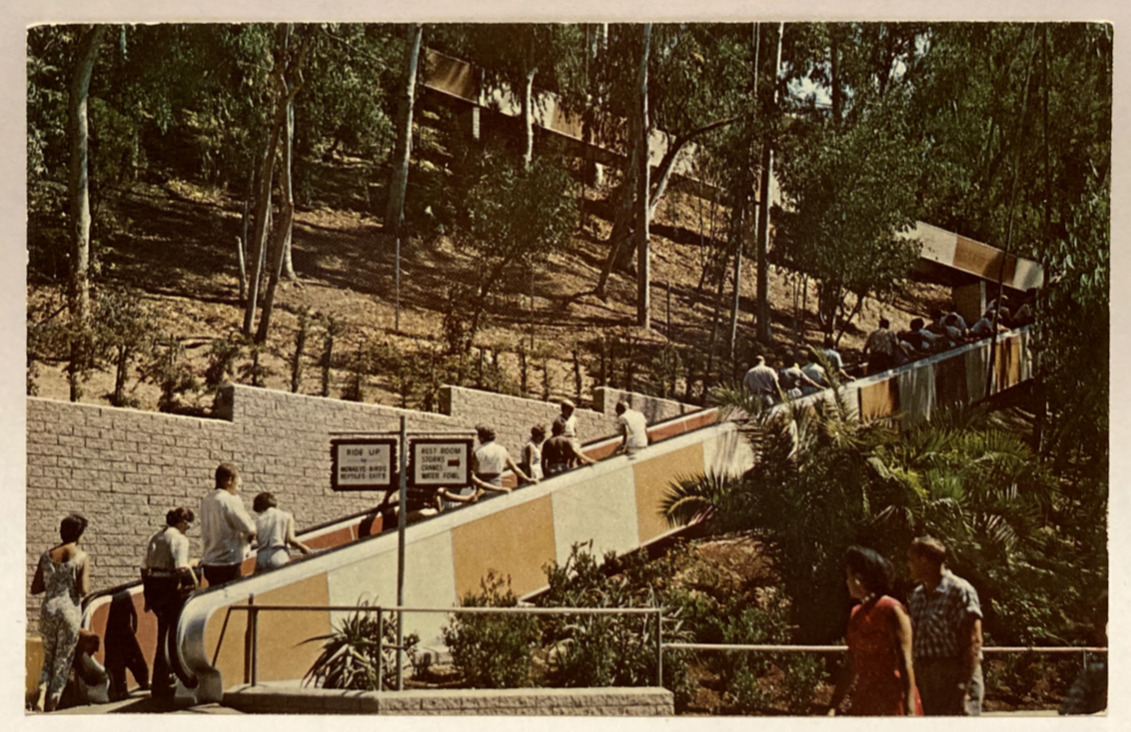 Moving Stairway, San Diego Zoo, California CA Vintage Postcard