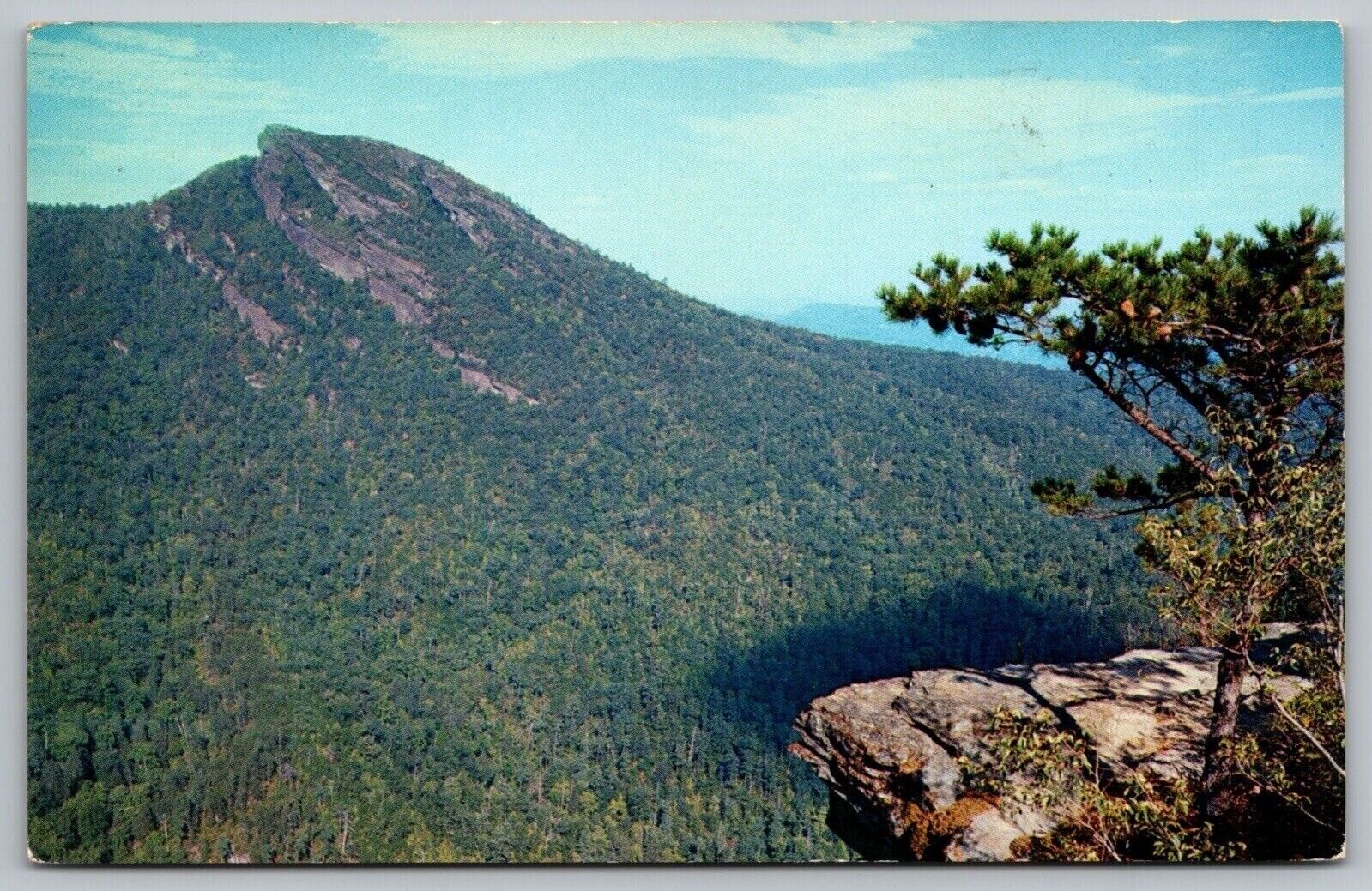 Hawkbill Mountain North Carolina Wisemans View Forest Linville Falls Postcard