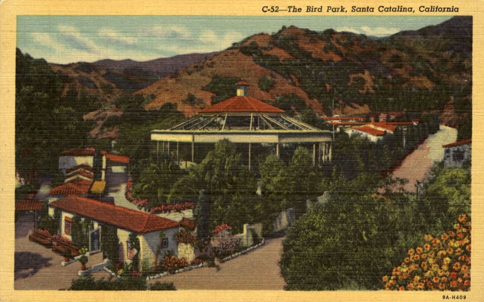 Bird Park Santa Catalina California CA ~ 1940s postcard dated 1982