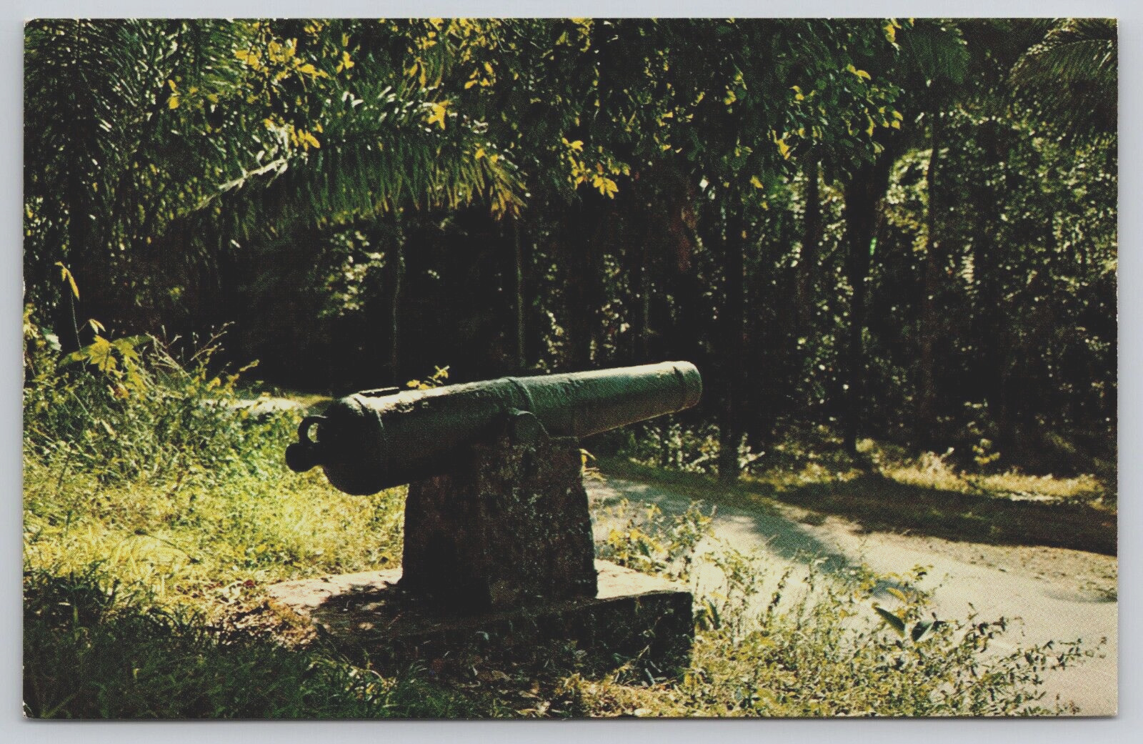 Panama Old Cannon Spanish Colonial Site Las Cruces Trail Canal Zone Postcard C16
