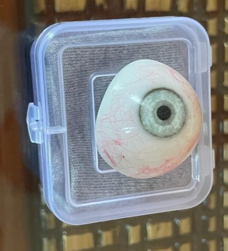 Vintage Human Prosthetic Eye ~ Antique Artificial Eye
