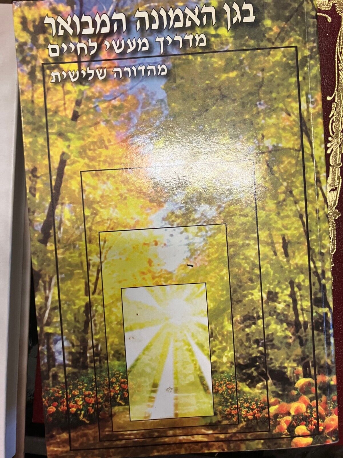 Hebrew BEGAN HAEMUNAH by Rabbi Shalom Arush בגן האמונה המבואר - מדריך מעשי לחיים