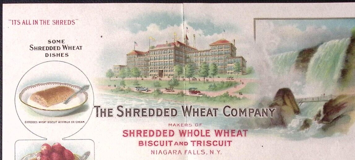 c1915 The Shredded Wheat Co NIAGARA FALLS NY Color Illustrated Letterhead