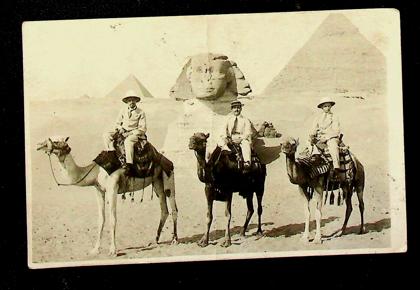 RPPC Camel in the Desert Sphinx at Le Caire Cairo Egypt Antique RPPC Postcard