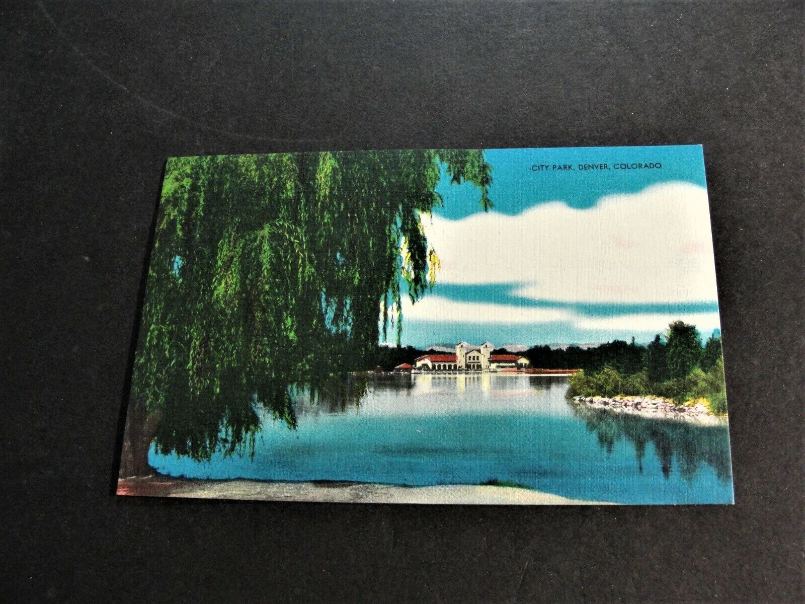 City Park -Denver, Colorado -Unposted Linen Era Postcard.