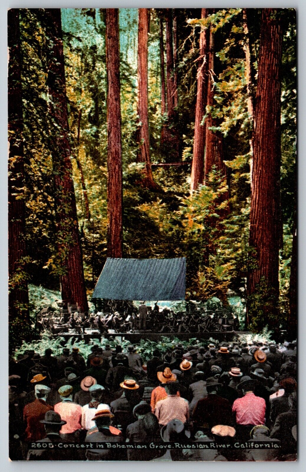 Vintage Postcard CA Russian River Concert Bohemian Grove People Large Trees 1383