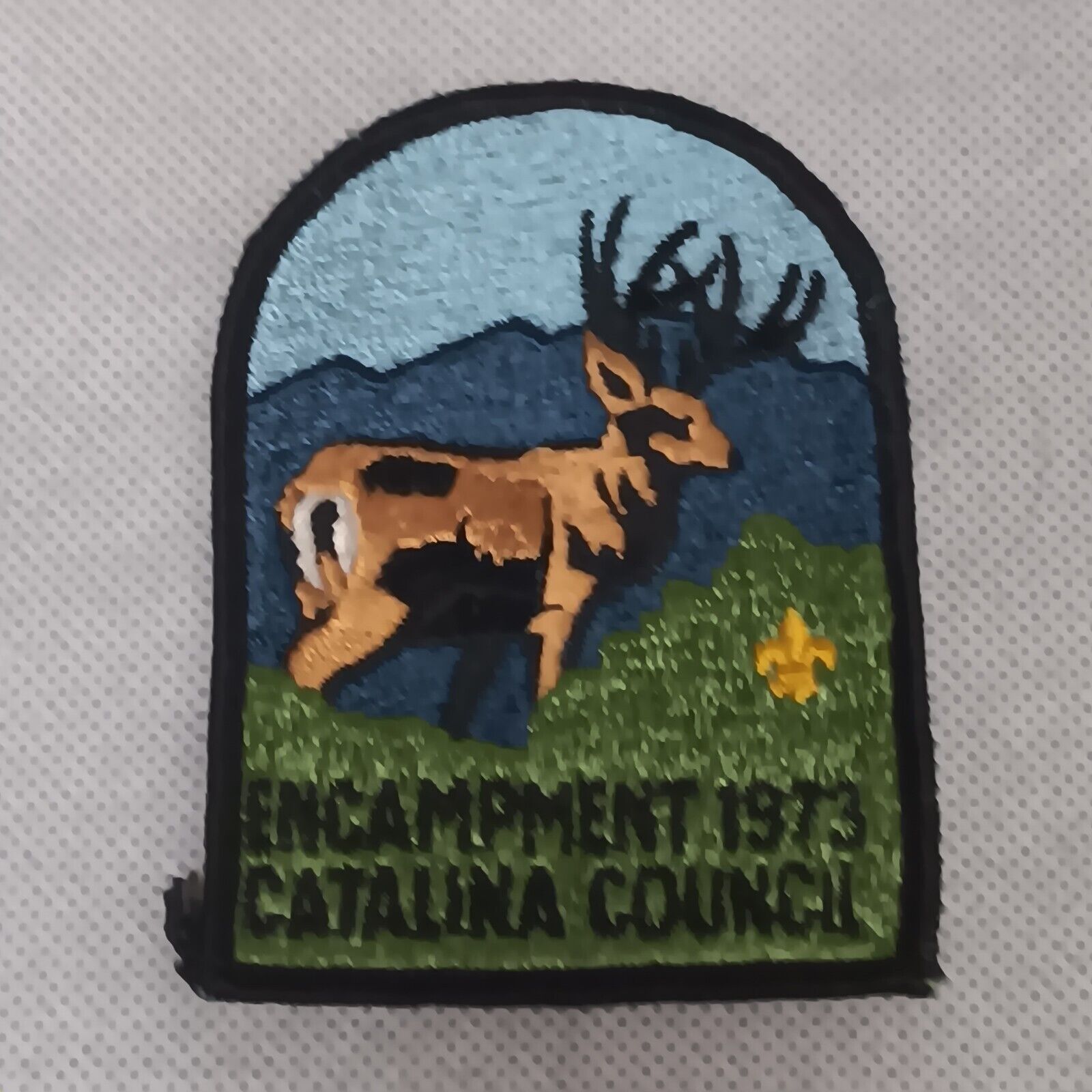 Boy Scouts Patch 1973 Encampment Catalina Council