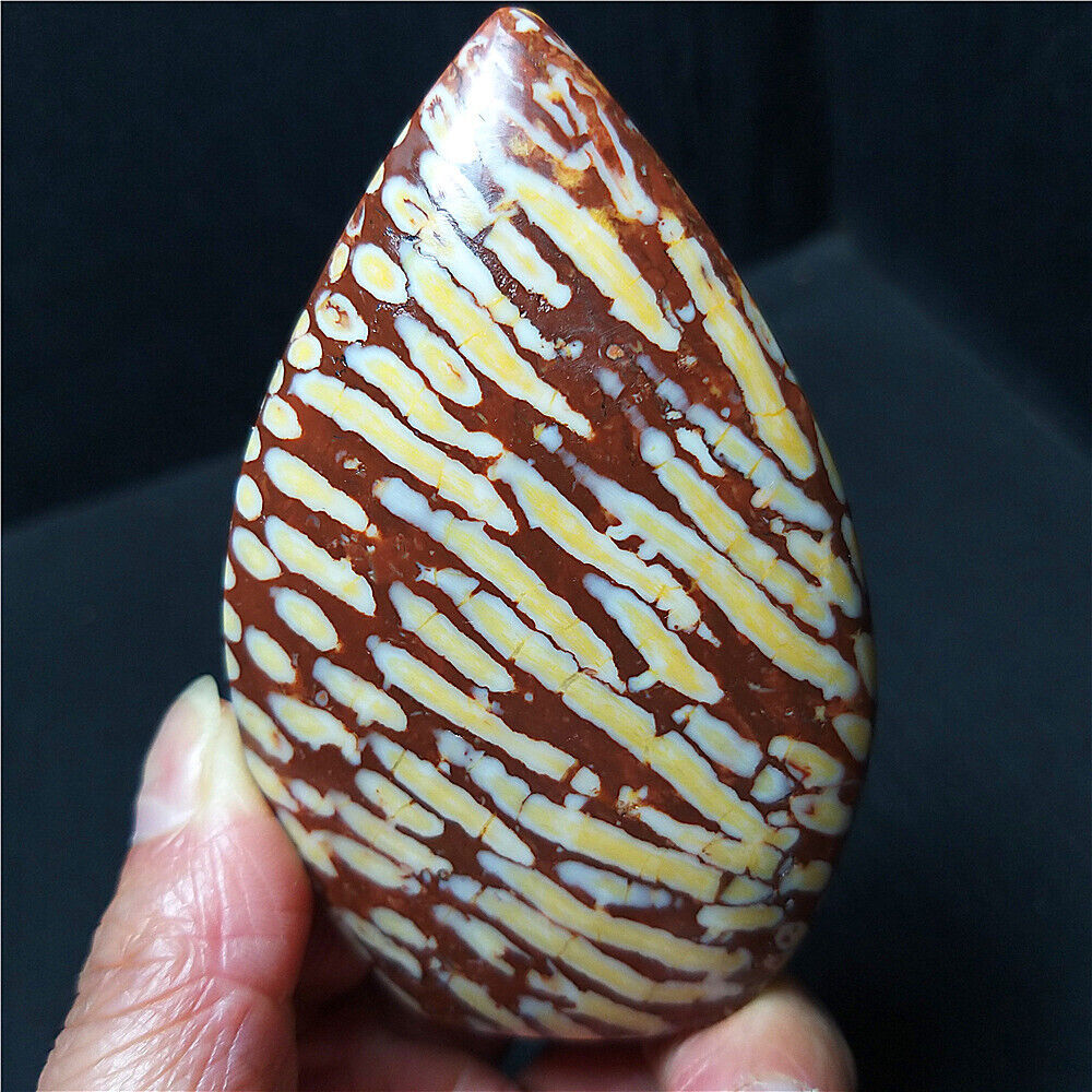 TOP 127G Natural Polished Coral jade Crystal Agate Water drople Healing  A3895