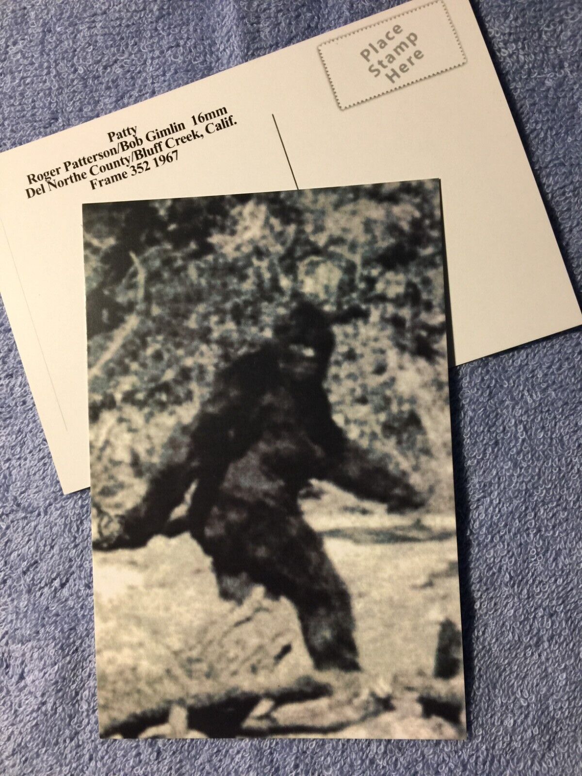 Bigfoot/Sasquatch Postcard Photo 4X6 Black & White