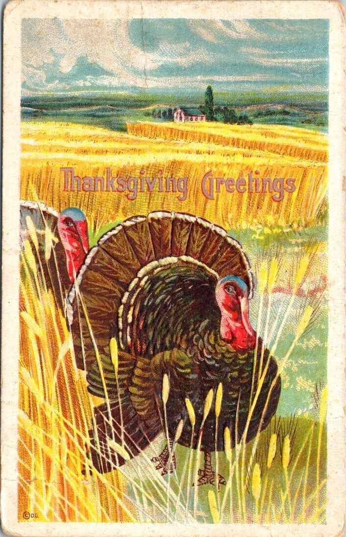 vintage postcard- Thanksgiving Greetings - turkey wheat field embossed c1900s