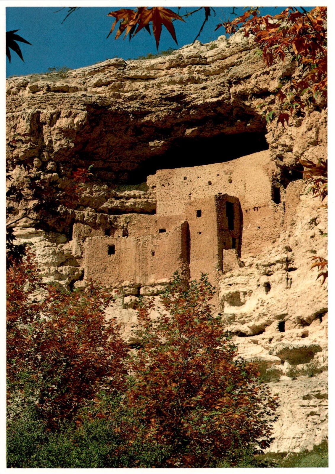 Sinagua Ruins, Montezuma Castle National Monument, Arizona, cliff Postcard