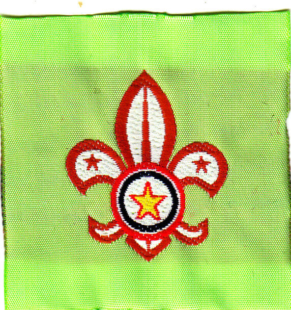 Boy Scout Membership Badge PARAGUAY orange