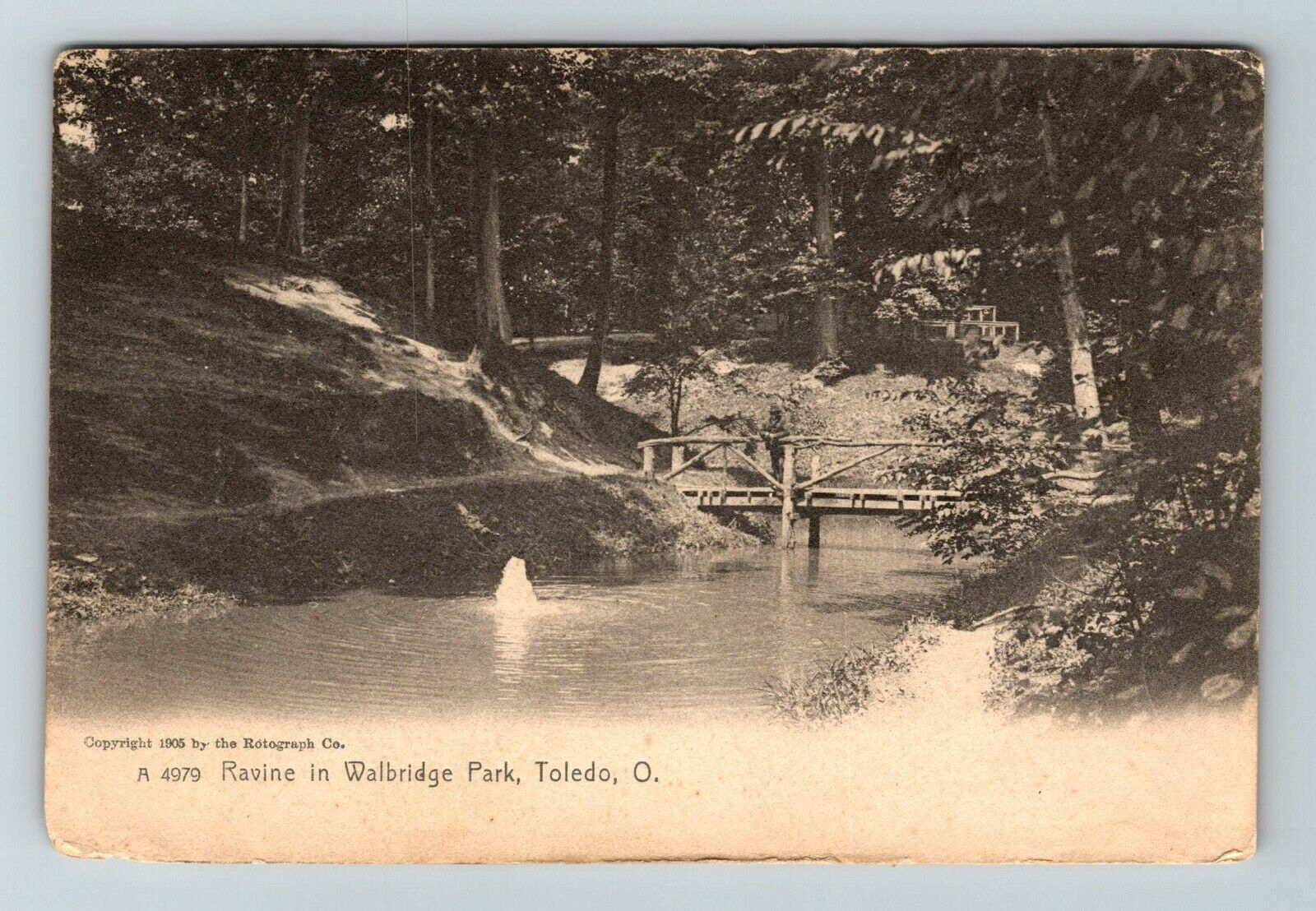 Toledo OH-Ohio, Ravine In Walbridge Park Vintage Souvenir Postcard