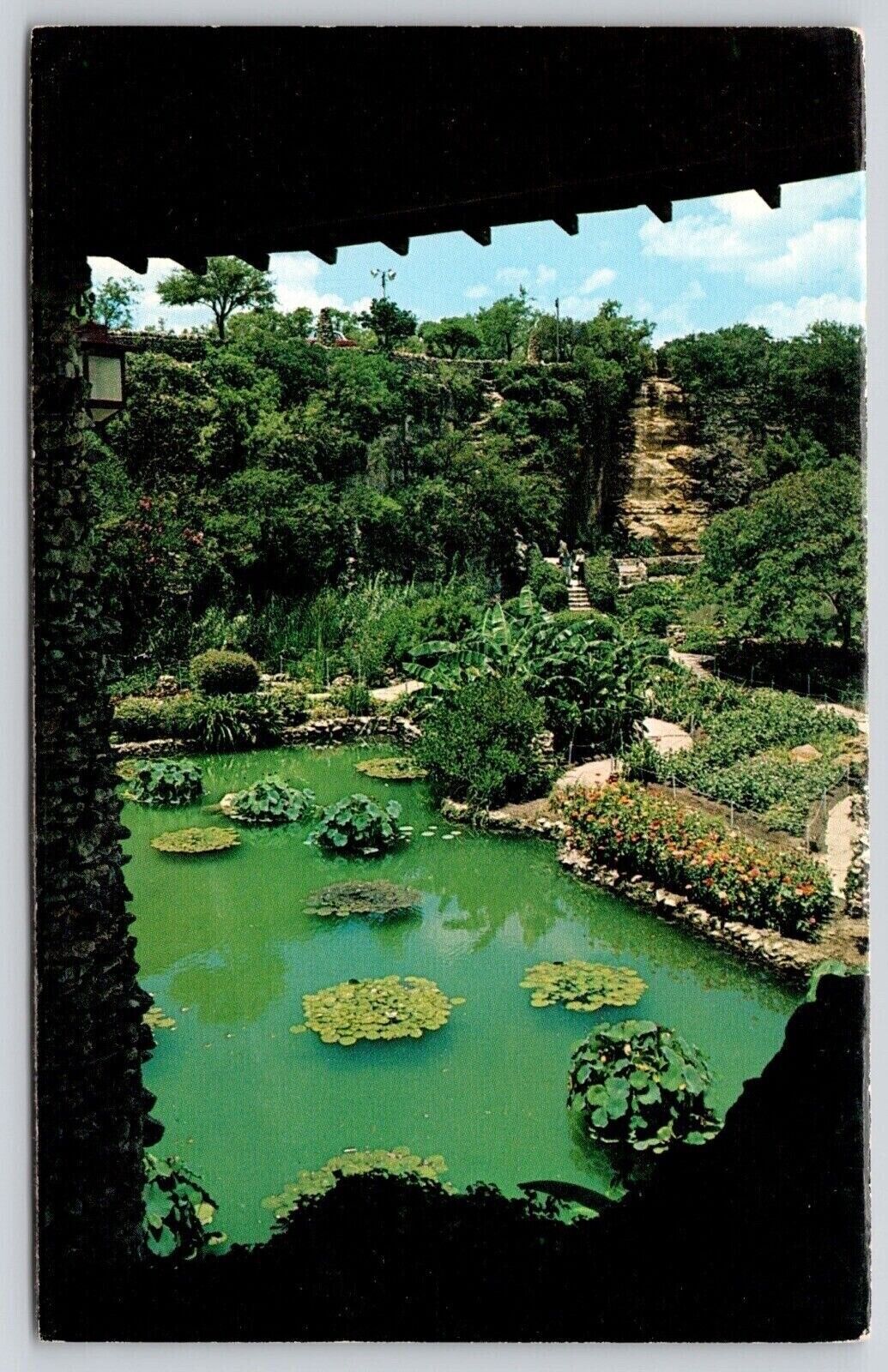 Sunken Gardens San Antonia Texas Tx Postcard