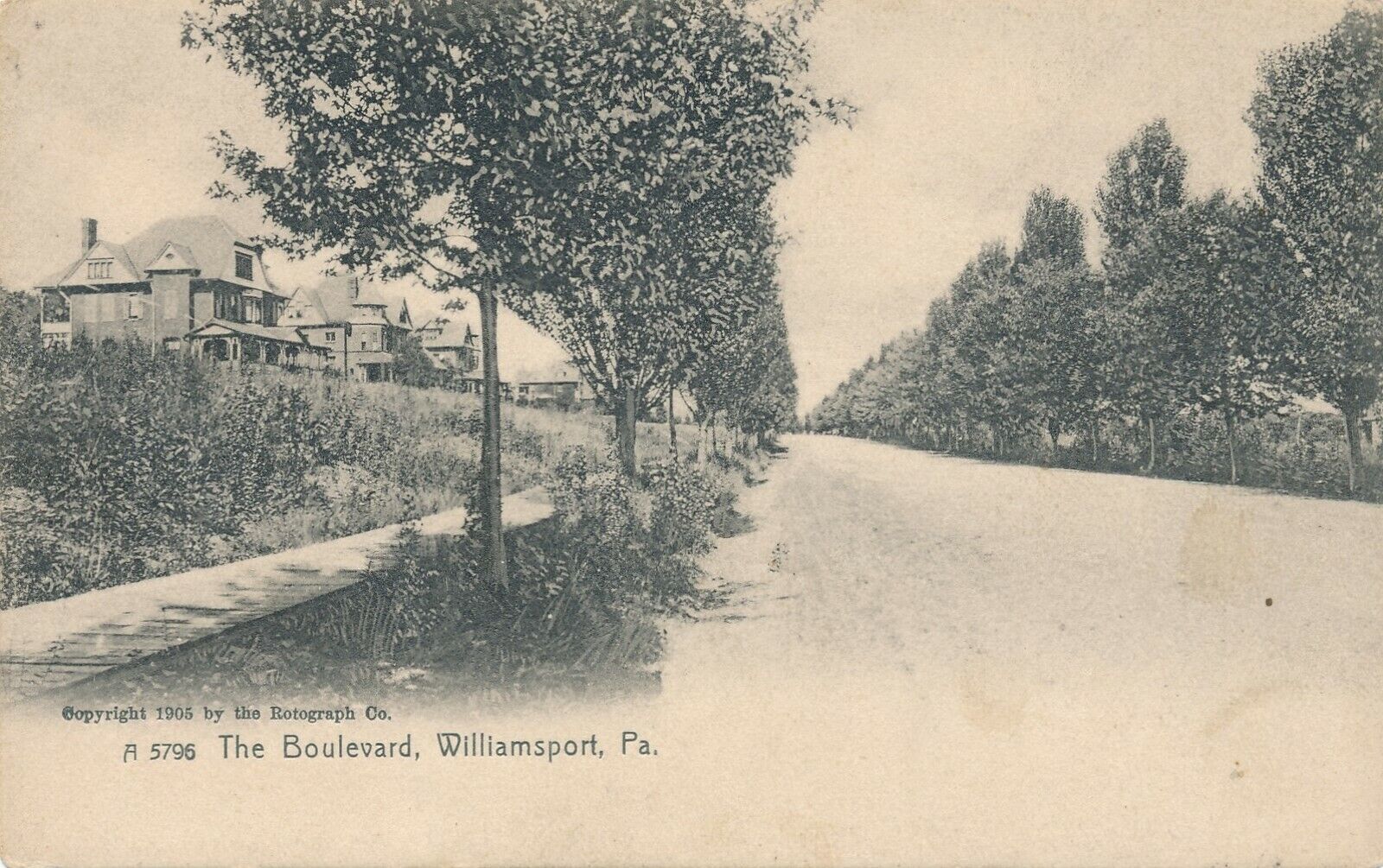 WILLIAMSPORT PA – The Boulevard Rotograph Postcard – udb (pre 1908)