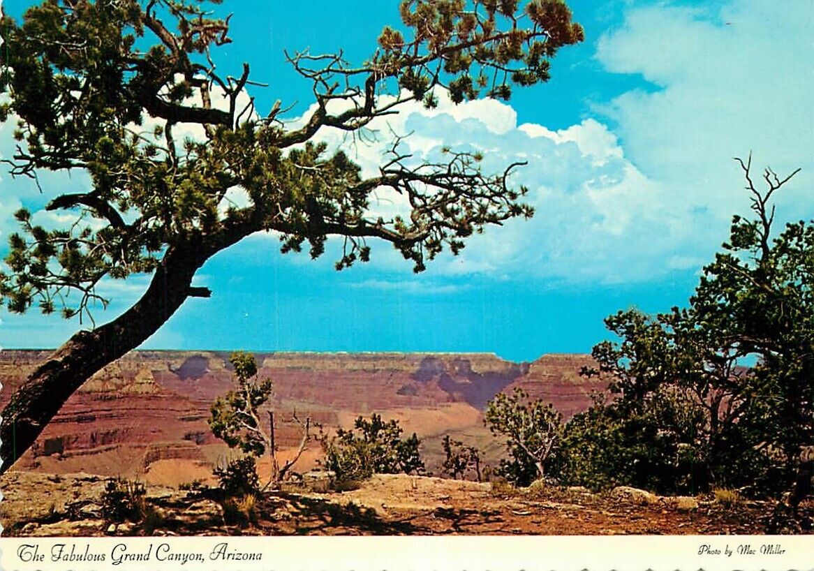 Postcard Arizona\'s Fabulous Grand Canyon