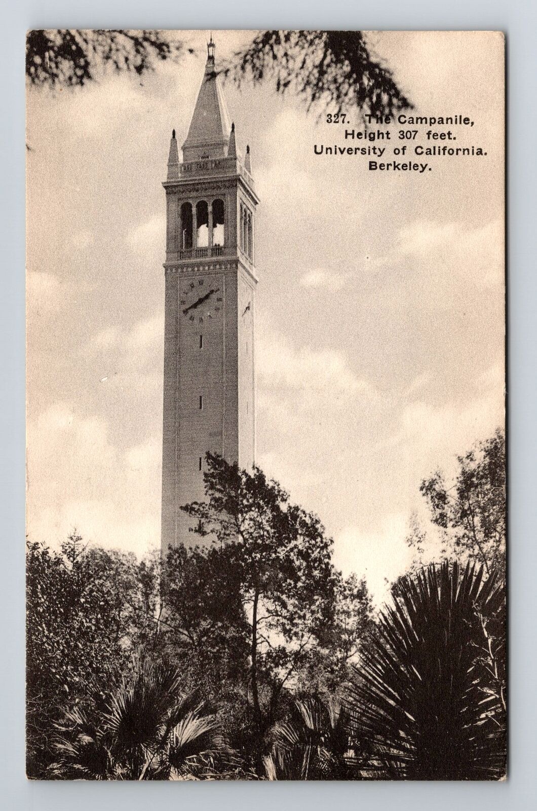 Berkeley CA-California, The Campanile, University, Vintage Postcard