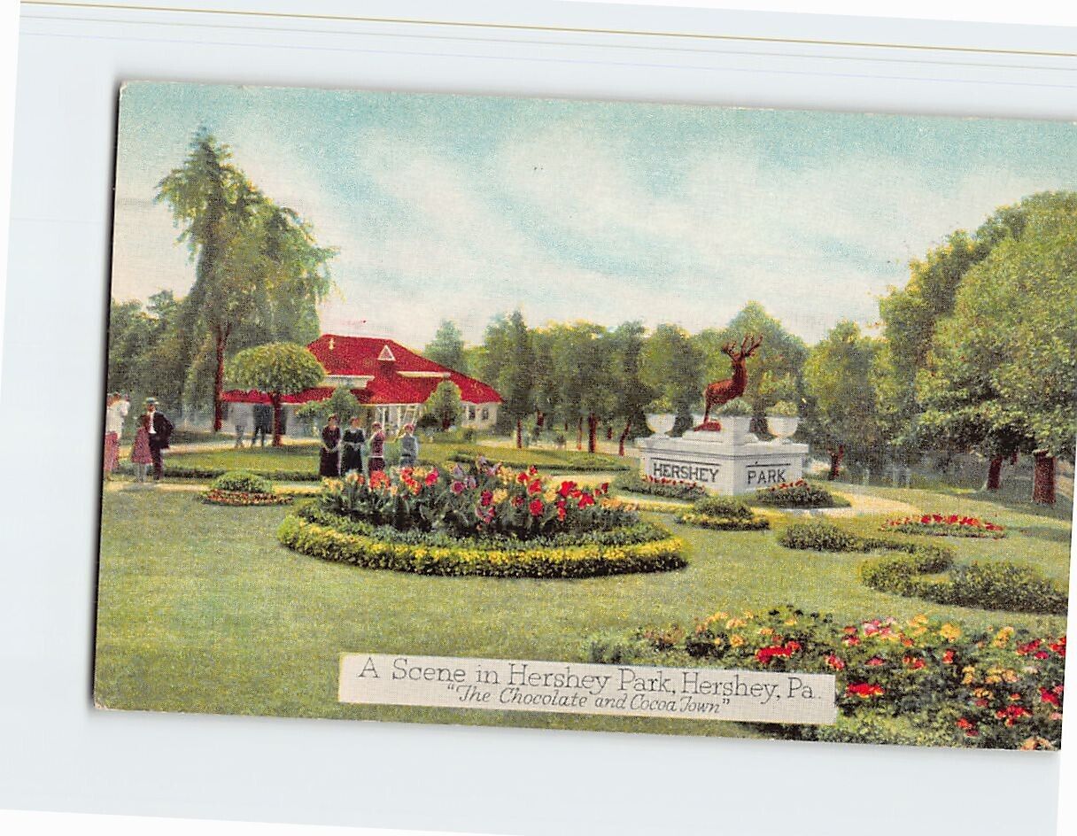 Postcard A Scene in Hershey Park Hershey Pennsylvania USA