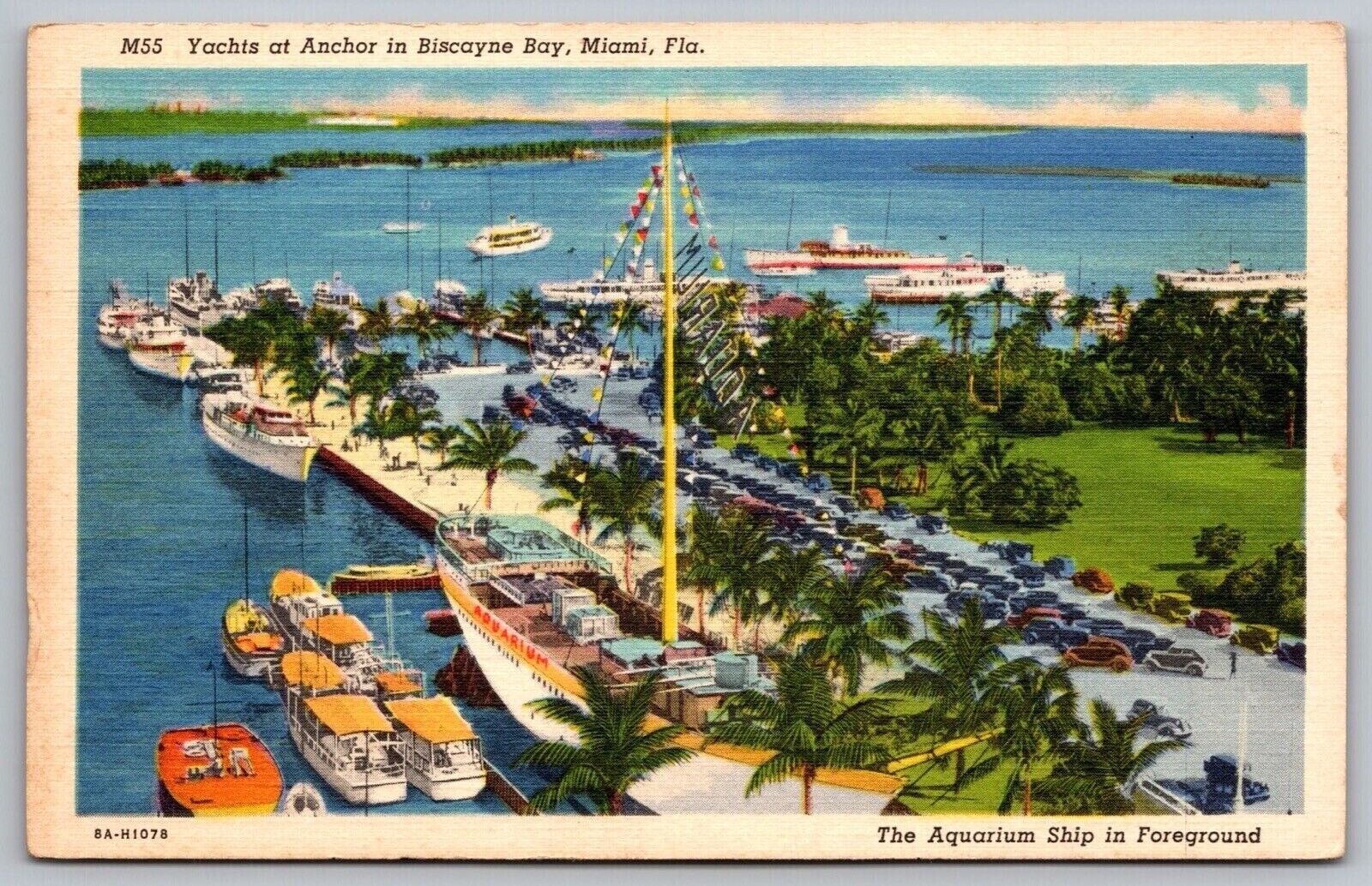 Yachts Anchor Biscayne Bay Miami Florida Aquarium Ship Palms Boats VNG Postcard