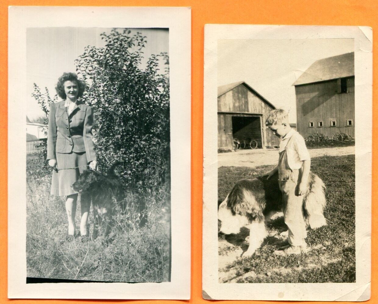 People with Their Dogs,  2 Old  Snapshots circa 1920s & 1940s