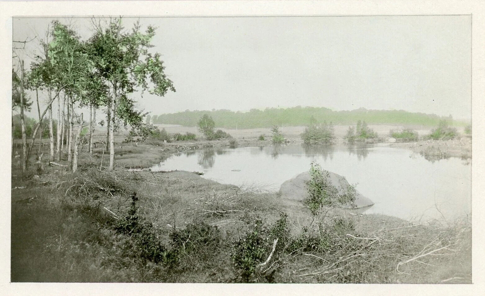 Antique RPPC Hand Tinted Colored Real Photo Postcard, Swamp Nature Landscape 75