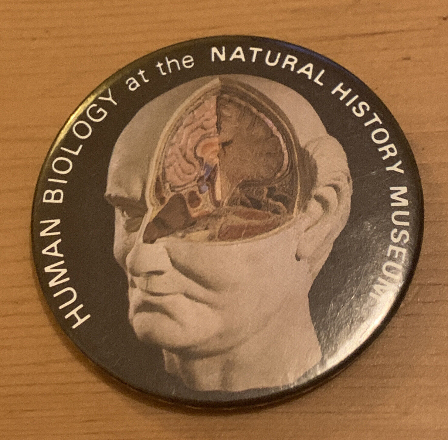 HUMAN BIOLOGY AT THE NATURAL HISTORY MUSEUM TIN PIN BUTTON BADGE - 5.4cm