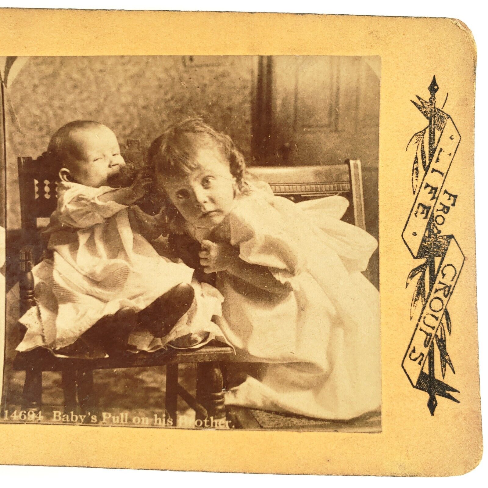 Baby Pulling Brother's Hair Stereoview c1890 Childhood Antique Photo Card A1934