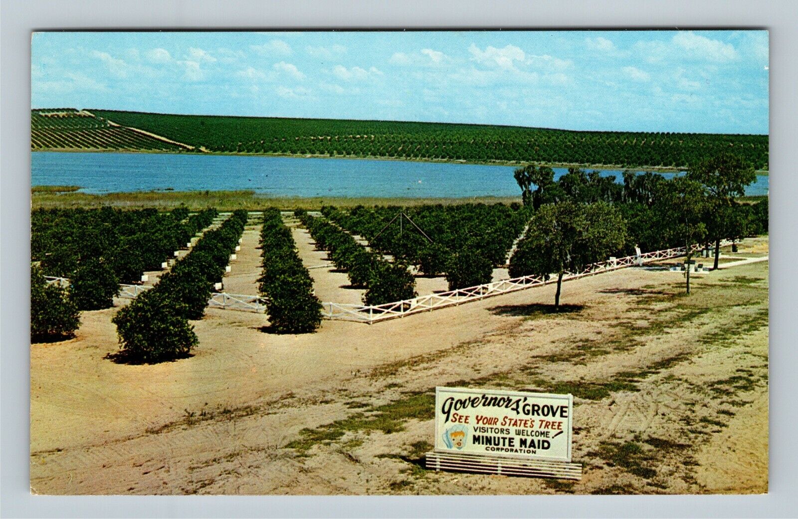 Governor\'s Citrus Grove, Clermont Florida Vintage Postcard