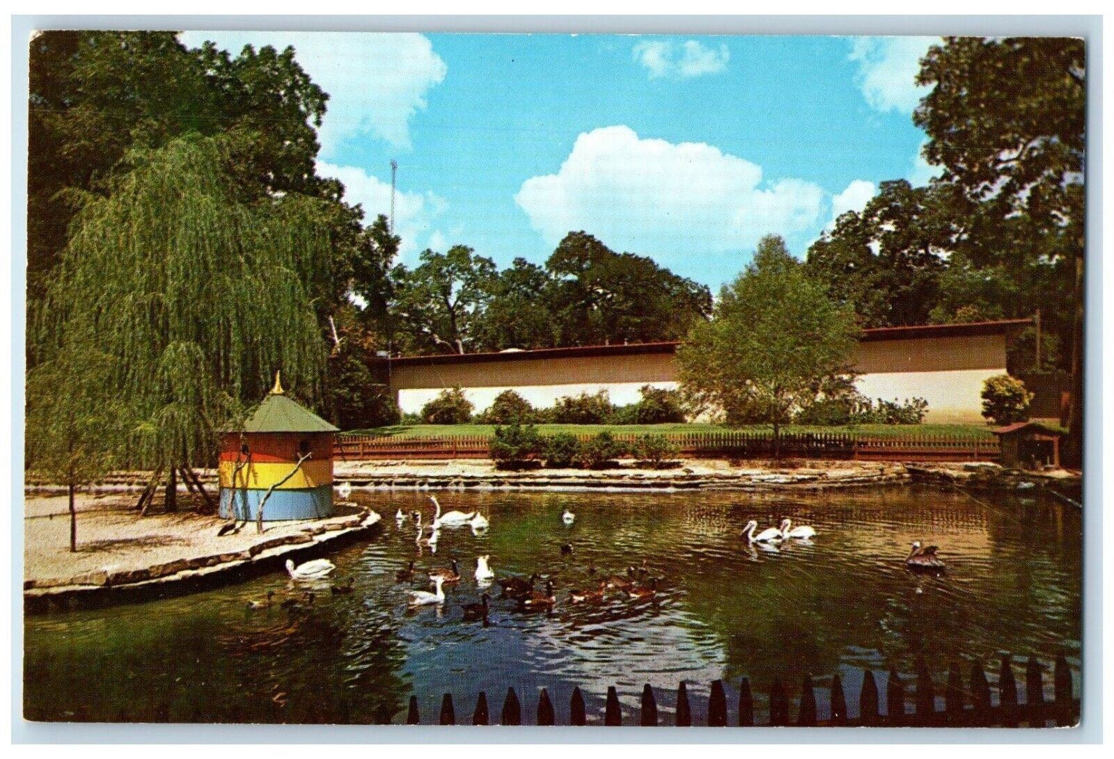 Forth Worth Zoological Park Waterfowl Lagoon Ducks Geese Swan Vintage Postcard
