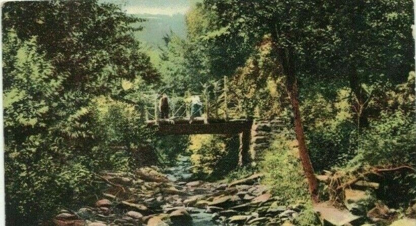 Ulster County NY Bridge at Oliverea Circa 1910 Postcard 