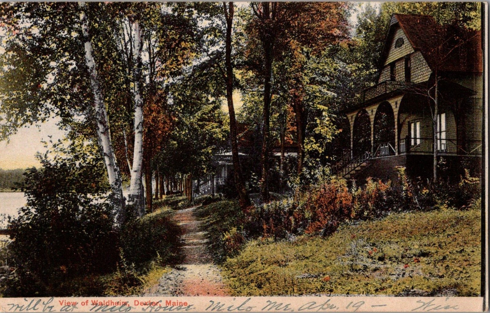 Postcard View Of Waldheim Dexter Maine Undivided Back Postmarked 1907