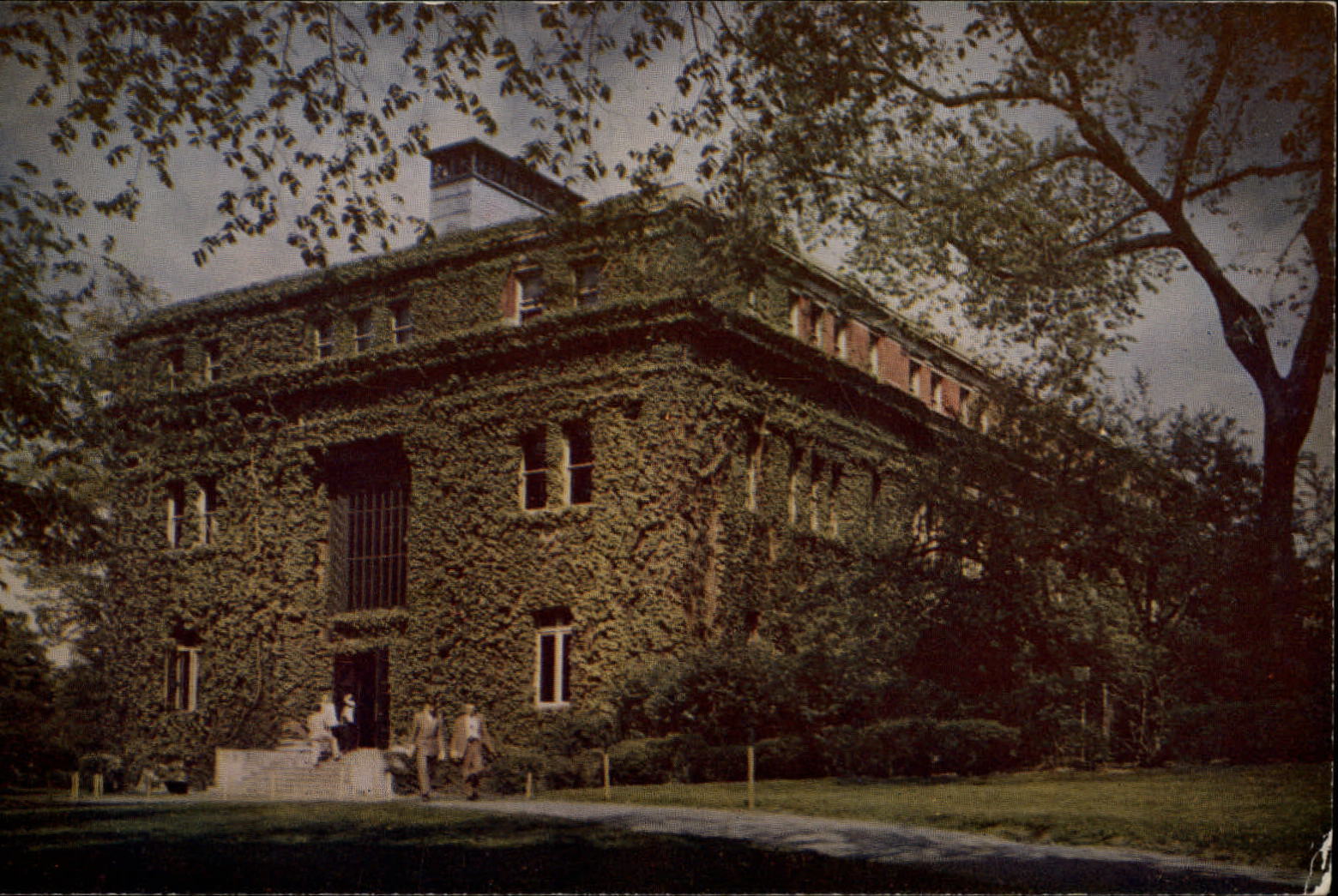 Cambridge Massachusetts ~ Harvard College ivy covered Emerson Hall ~ sku343