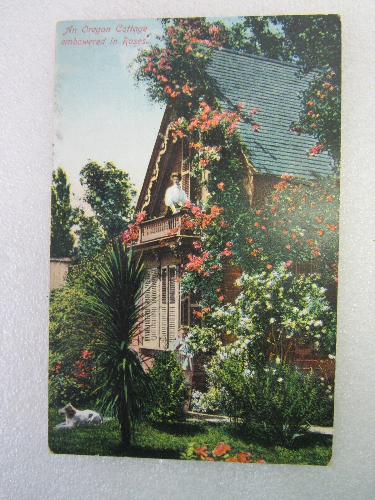 Vintage Early 1900\'s An Oregon Cottage Embowered In Roses Postcard, Marked