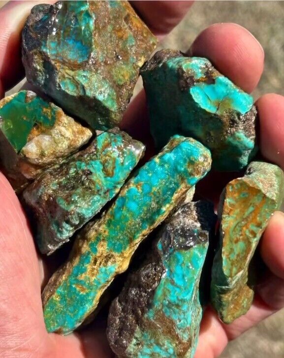 Graded Phoenix Rising Turquoise 10 pounds of the best specimens Almost gone.