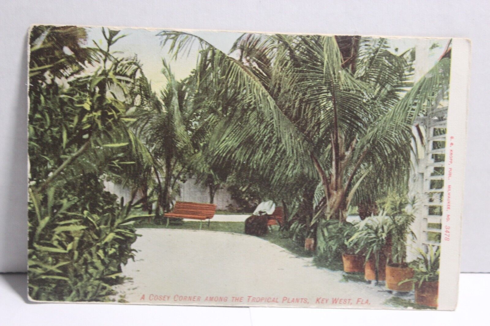 A Cosey Corner among the Tropical Plants Key West Florida UDB