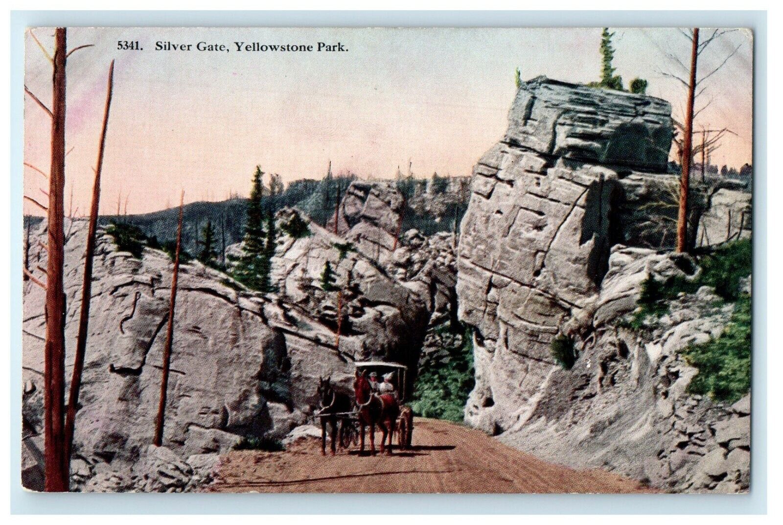c1910\'s Silver Gate Horse & Buggy Yellowstone National Park Wyoming WY Postcard