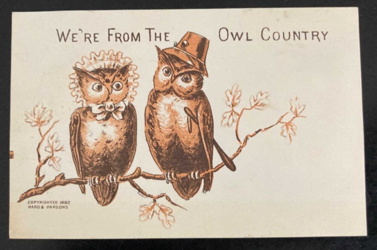 1880s Trade Card Owls From the Owl Country