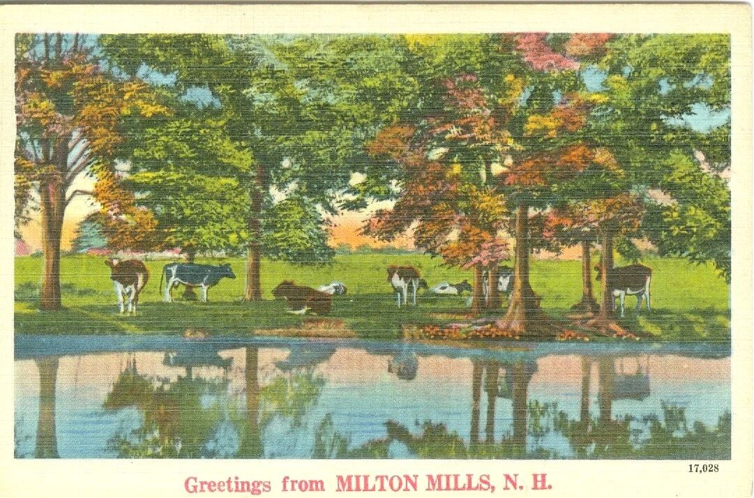 Milton Mills NH  Scenic 1949 Pastoral Greetings from Milton Mills