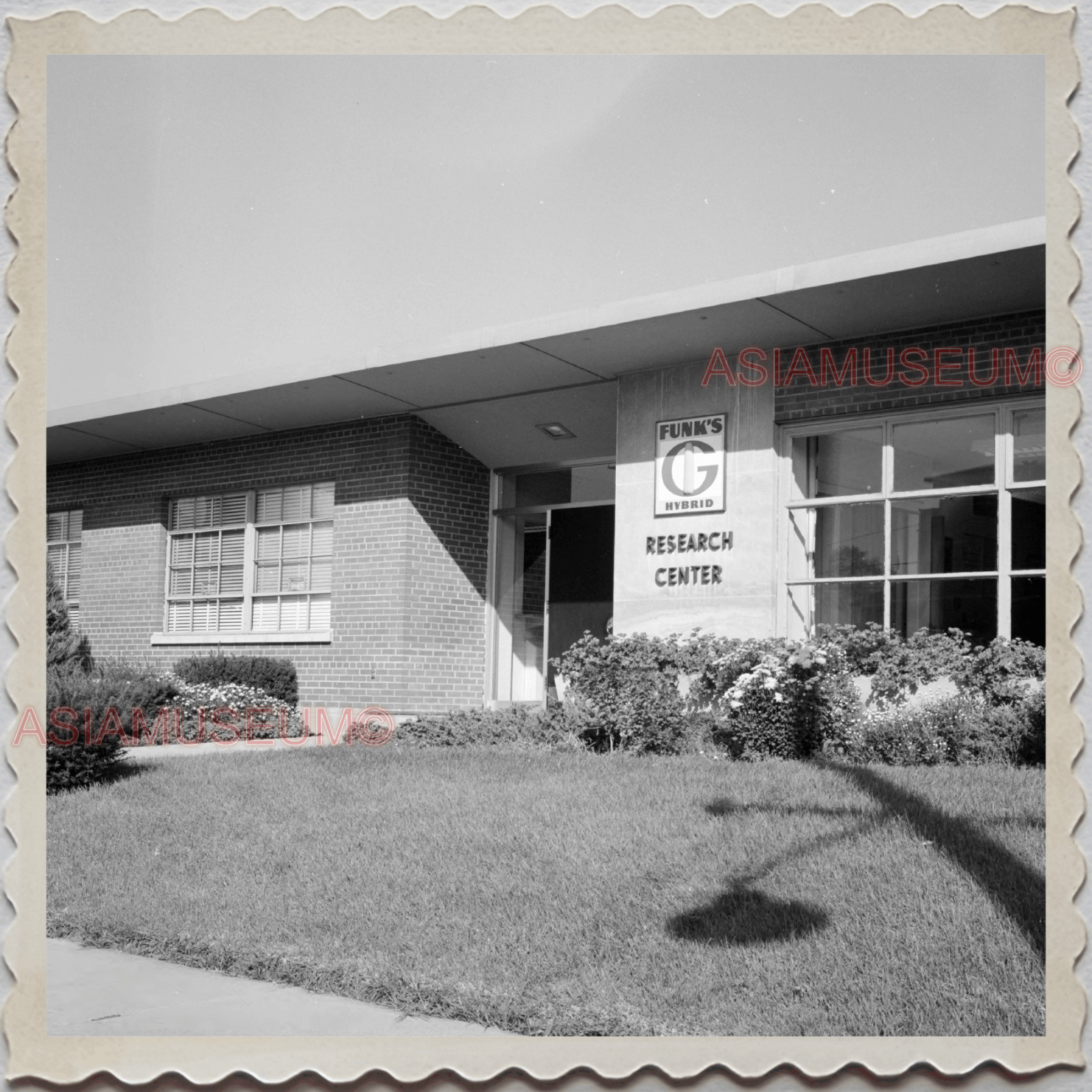 40s BLOOMINGTON CORN RESEARCH CENTER INDIANA FARM OLD Vintage Photograph S8316