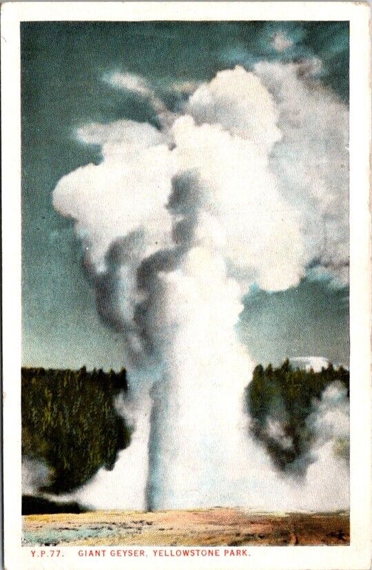 Vintage Postcard Giant Geyser Yellowstone National Park Wyoming WY         10207