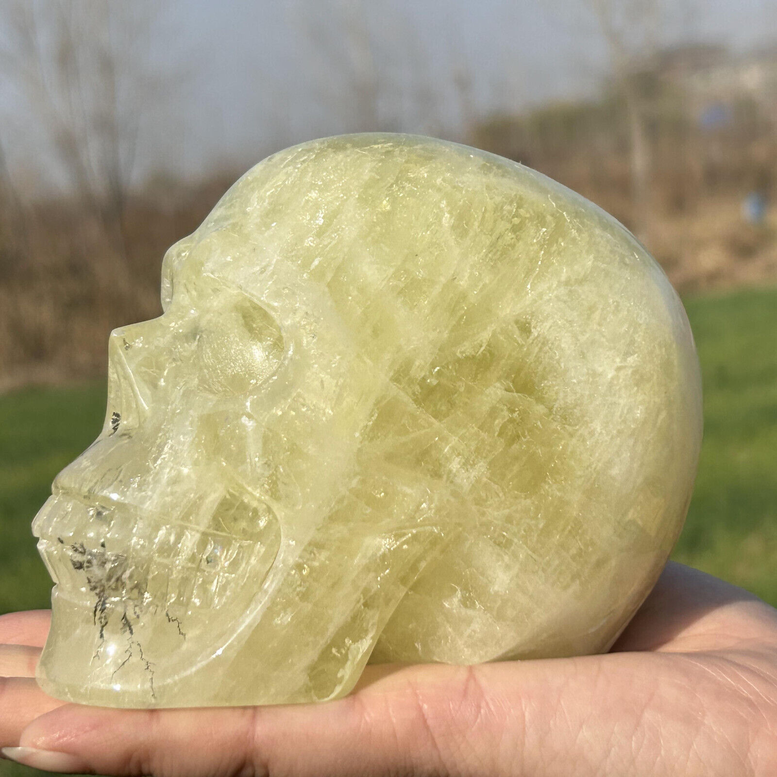 2.81LB Natural Smokey citrine Quartz Skull Hand Carved Quartz Crystal Skull heal