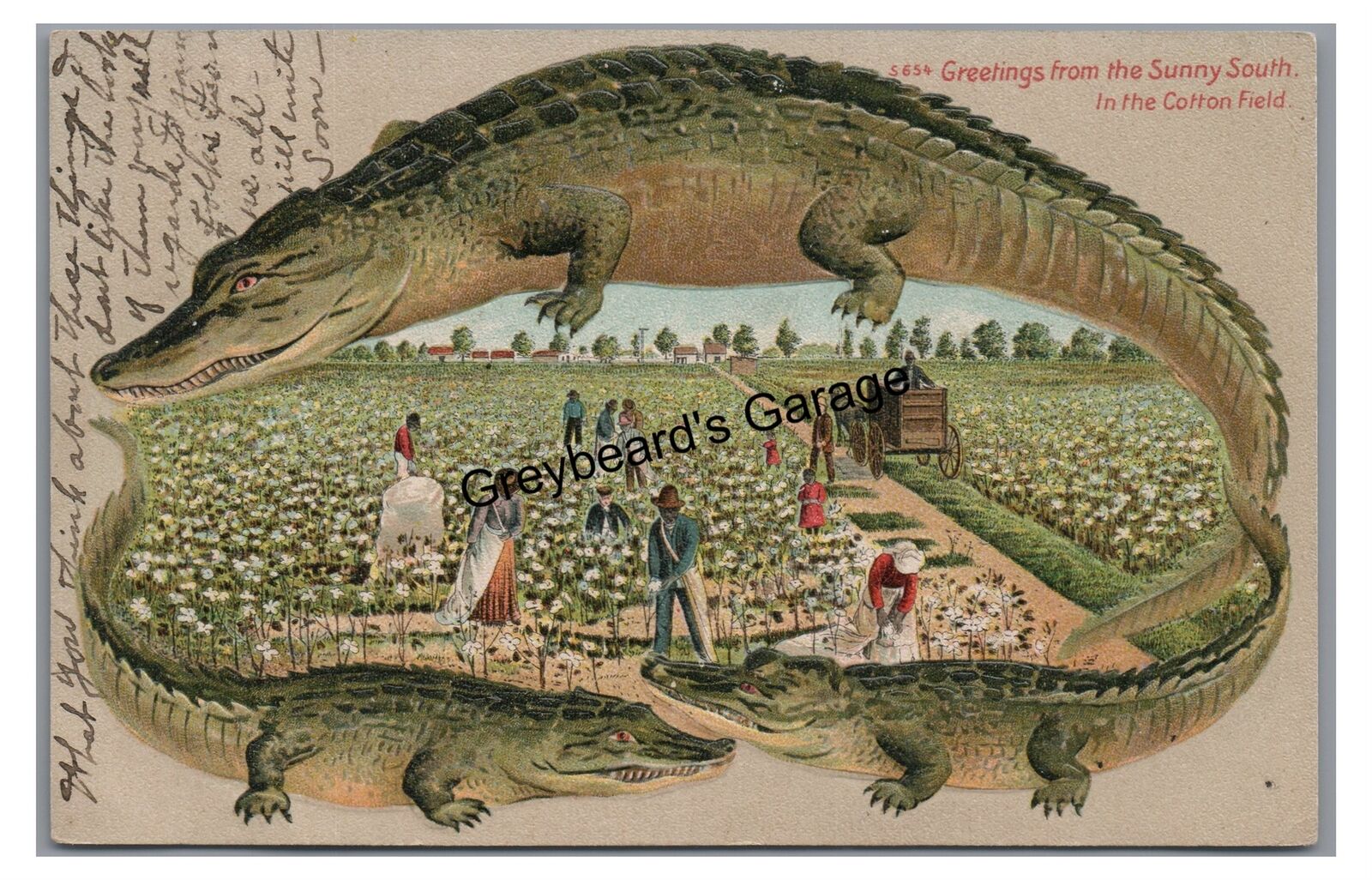 Langsdorf Alligator Border S 654 Greetings from the Sunny South Cotton Postcard