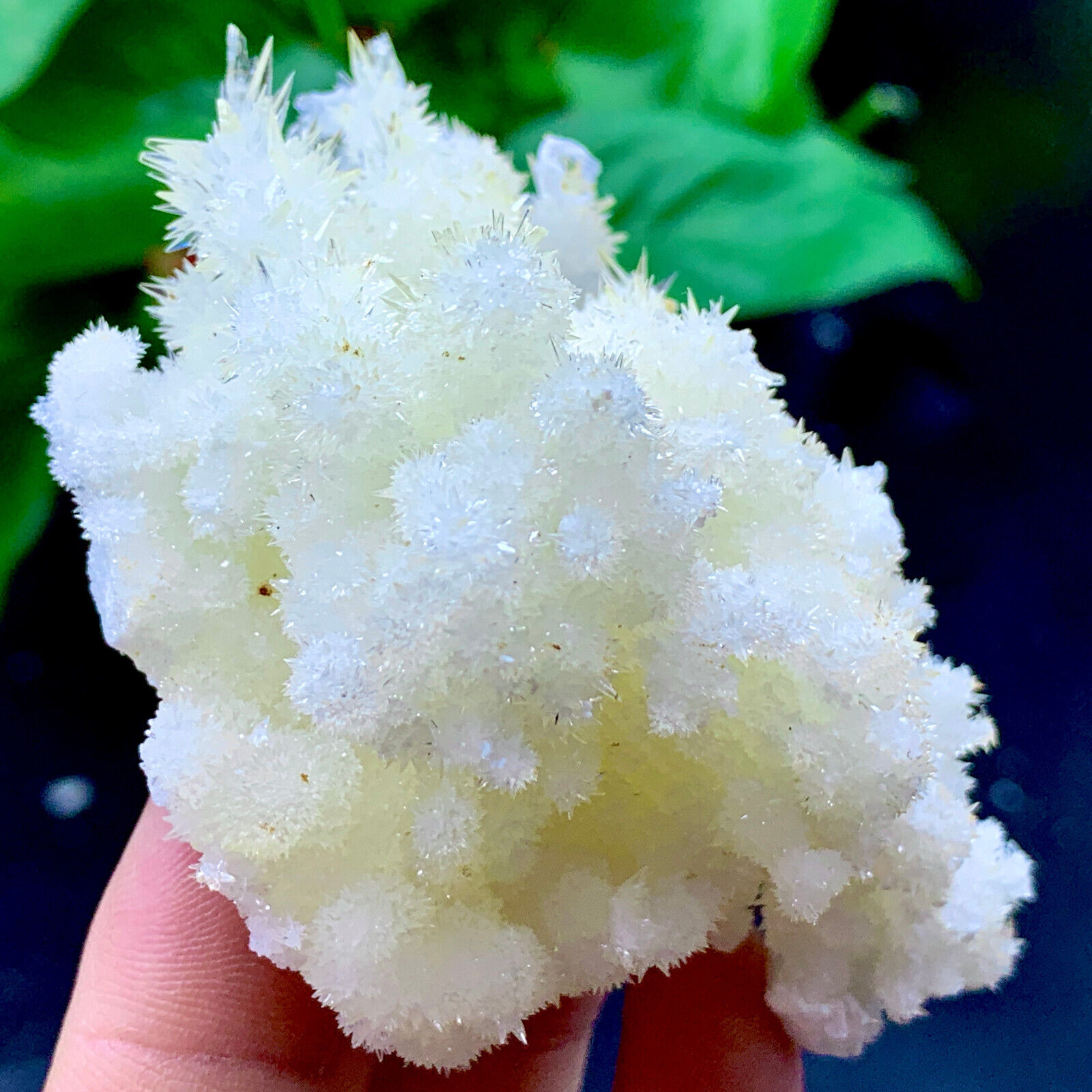 104g Museum Quality White Flowery Hydrozincite Crystal Cluster Mineral Specimen