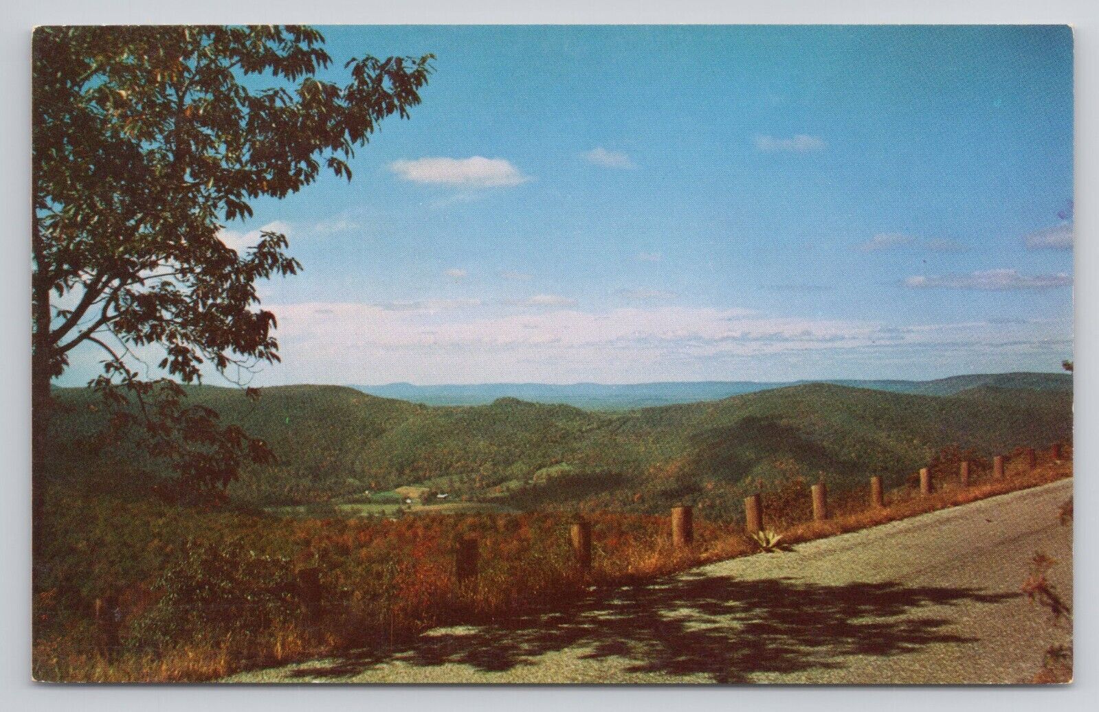 High Knob Sullivan County, Pa Postcard 3098