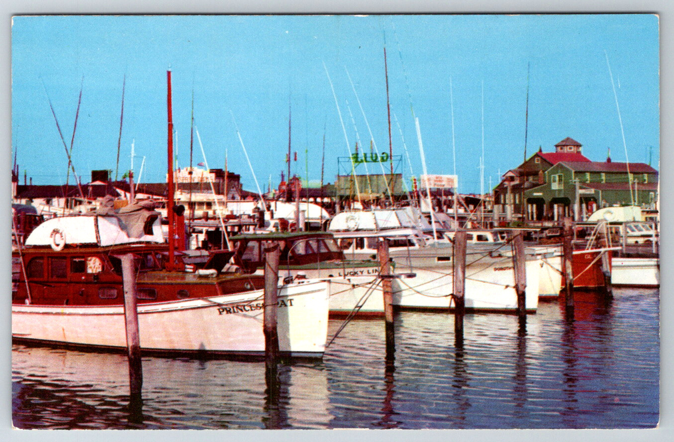 c1960s Schellenger\'s Landing Cape May New Jersey Vintage Postcard