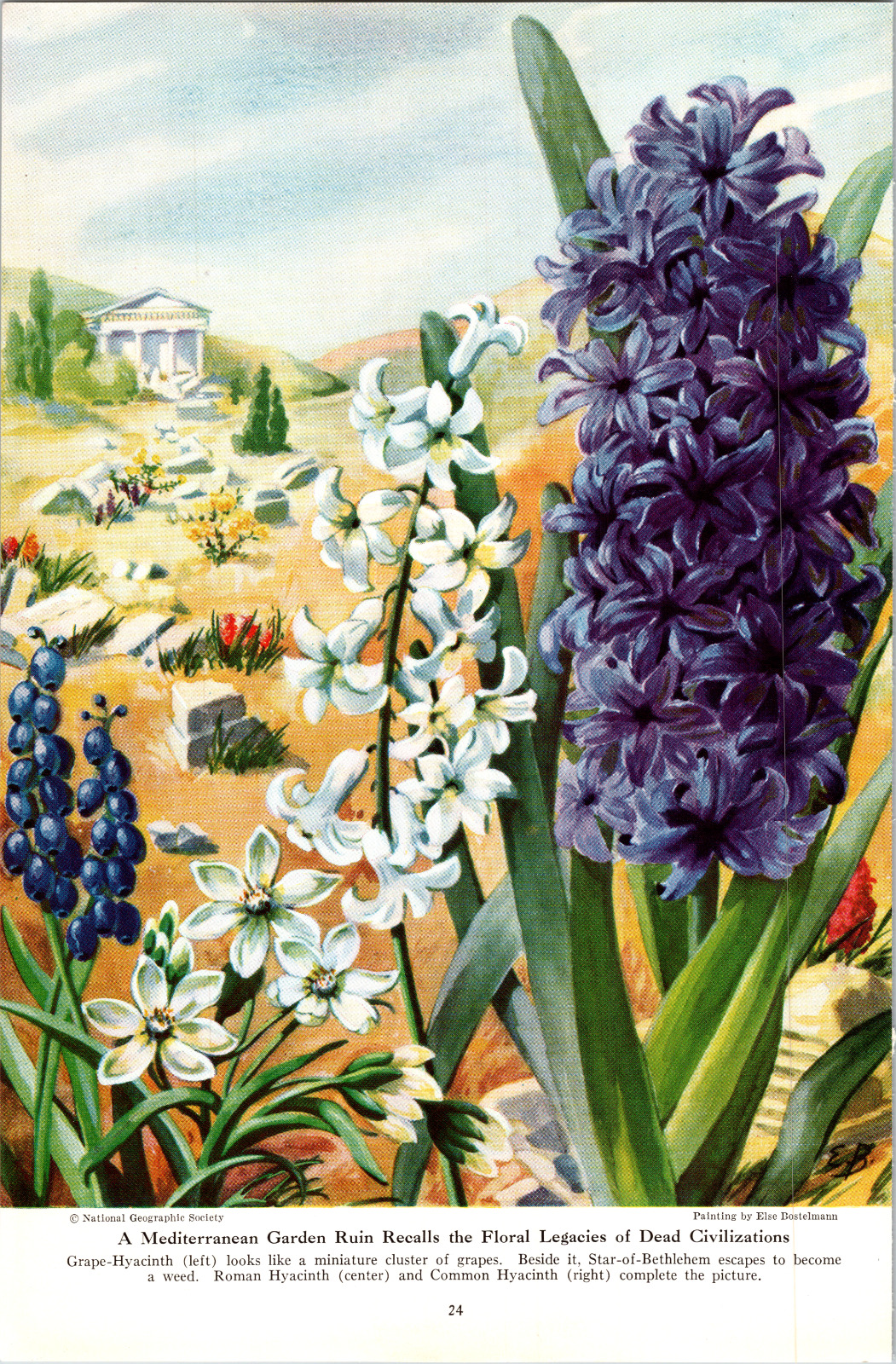 1947 Mediterranean Garden Roman Ruin Painting Vtg Print Ad Floral Colorful ART